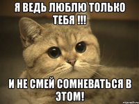 я ведь люблю только тебя !!! и не смей сомневаться в этом!