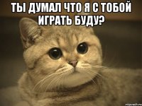 ты думал что я с тобой играть буду? 