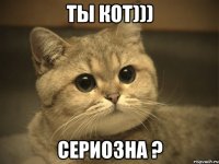 ты кот))) сериозна ?