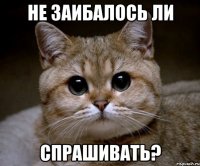 не заибалось ли спрашивать?