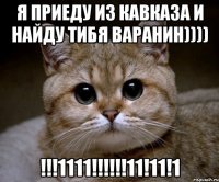 я приеду из кавказа и найду тибя варанин)))) !!!1111!!!11!11!1