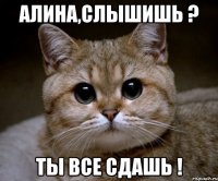 алина,слышишь ? ты все сдашь !