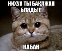 нихуя ты баклжан блядь!!! кабан