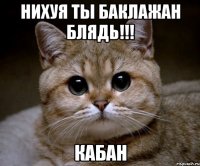 нихуя ты баклажан блядь!!! кабан