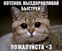 котенок, выздоравливай быстрей. пожалуйста <3