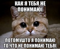 как я тебя не понимаю( потомушто я понимаю то что не понимаю тебя(