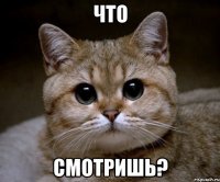 что смотришь?