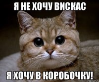 я не хочу вискас я хочу в коробочку!