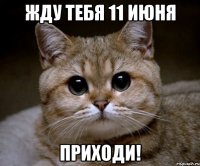 жду тебя 11 июня приходи!