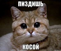 пиздишь косой