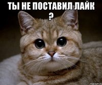 ты не поставил лайк ? 