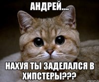 андрей.... нахуя ты заделался в хипстеры???