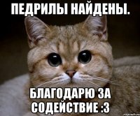 педрилы найдены. благодарю за содействие :3