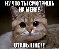 ну что ты смотришь на меня? ставь like !!!