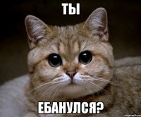 ты ебанулся?