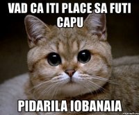 vad ca iti place sa futi capu pidarila iobanaia