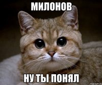 милонов ну ты понял