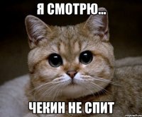 я смотрю... чекин не спит