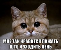  мне так нравится лижать што и уходить лень