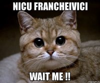 nicu francheivici wait me !!