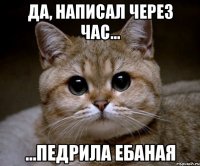 да, написал через час... ...педрила ебаная