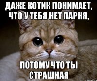 даже котик понимает, что у тебя нет парня, потому что ты страшная