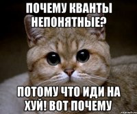 почему кванты непонятные? потому что иди на хуй! вот почему