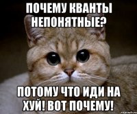 почему кванты непонятные? потому что иди на хуй! вот почему!