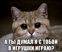  а ты думал я с тобой в игрушки играю?