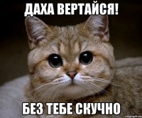 даха вертайся! без тебе скучно