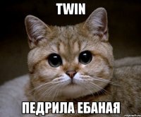 twin педрила ебаная