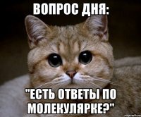 вопрос дня: "есть ответы по молекулярке?"