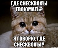 где checkbox'ы твоюмать? я говорю, где checkbox'ы?