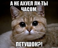 а не ахуел ли ты часом, петушок?!