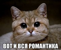  вот и вся романтика