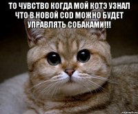 то чувство когда мой котэ узнал что в новой cod можно будет управлять собаками!!! 