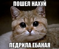 пошел нахуй педрила ебаная