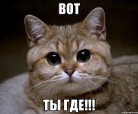 вот ты где!!!