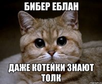 бибер еблан даже котейки знают толк