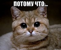 потому что... 