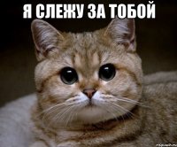 я слежу за тобой 