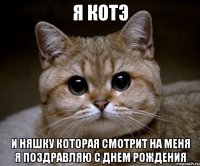 я котэ и няшку которая смотрит на меня я поздравляю с днем рождения