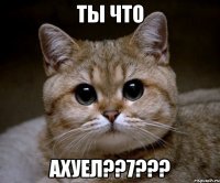 ты что ахуел??7???