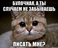 булочная, а ты случаем не забываешь писать мне?