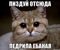 пиздуй отсюда педрила ебаная