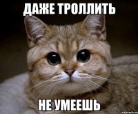 даже троллить не умеешь