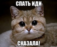 спать иди сказала!