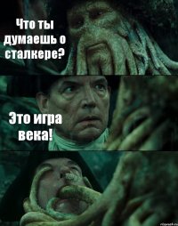 Что ты думаешь о сталкере? Это игра века! 