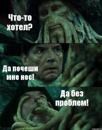 Что-то хотел? Да почеши мне нос! Да без проблем!