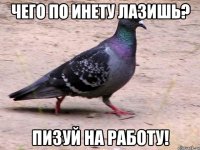 чего по инету лазишь? пизуй на работу!